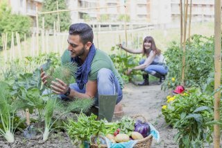 Potager urbain_Jardiniers